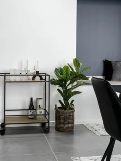 Barcart Vita^Westwing Discount