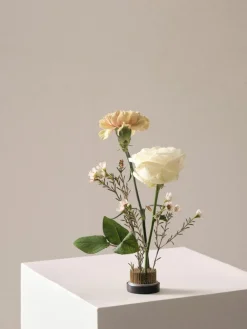 Bloemenegel Fiore, Ø 5 cm^Jotex Hot