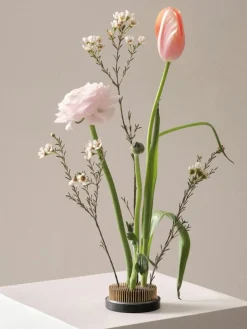 Bloemenegel Fiore, Ø 8 cm^Jotex Best