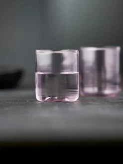 Borrelglaasjes Torino uit borosilicaatglas, 2 stuks^Lyngby Fashion
