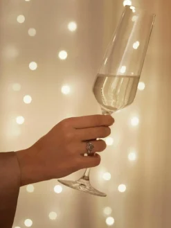 Champagneglas Puccini, 6 stuks^LEONARDO Clearance