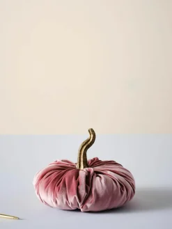 Decoratieve pompoen Pumpis, Ø 19 cm^Jotex Best