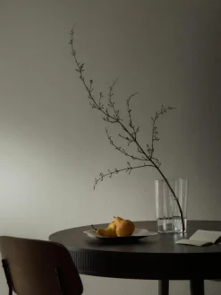 Decoratieve schaal Alvar Aalto van edelstaal^iittala Fashion