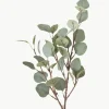 Decoratieve tak Eukalyptus^Westwing Discount
