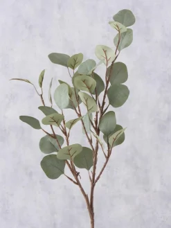 Decoratieve tak Eukalyptus^Westwing Discount