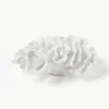 Design decoratief object Coral^Westwing Collection Hot