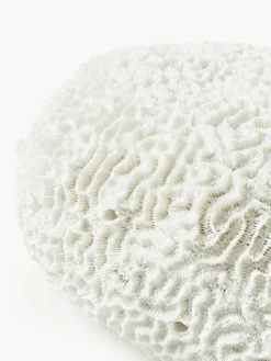 Design decoratief object Coral^Westwing Collection Sale