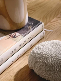 Design decoratief object Coral^Westwing Collection Sale