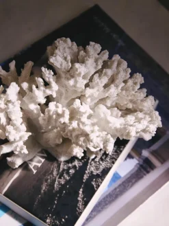 Design decoratief object Coral^Westwing Collection New