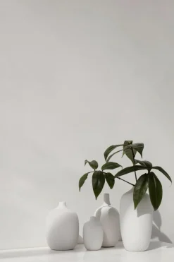 Design vaas Ceola, verschillende formaten^blomus Online