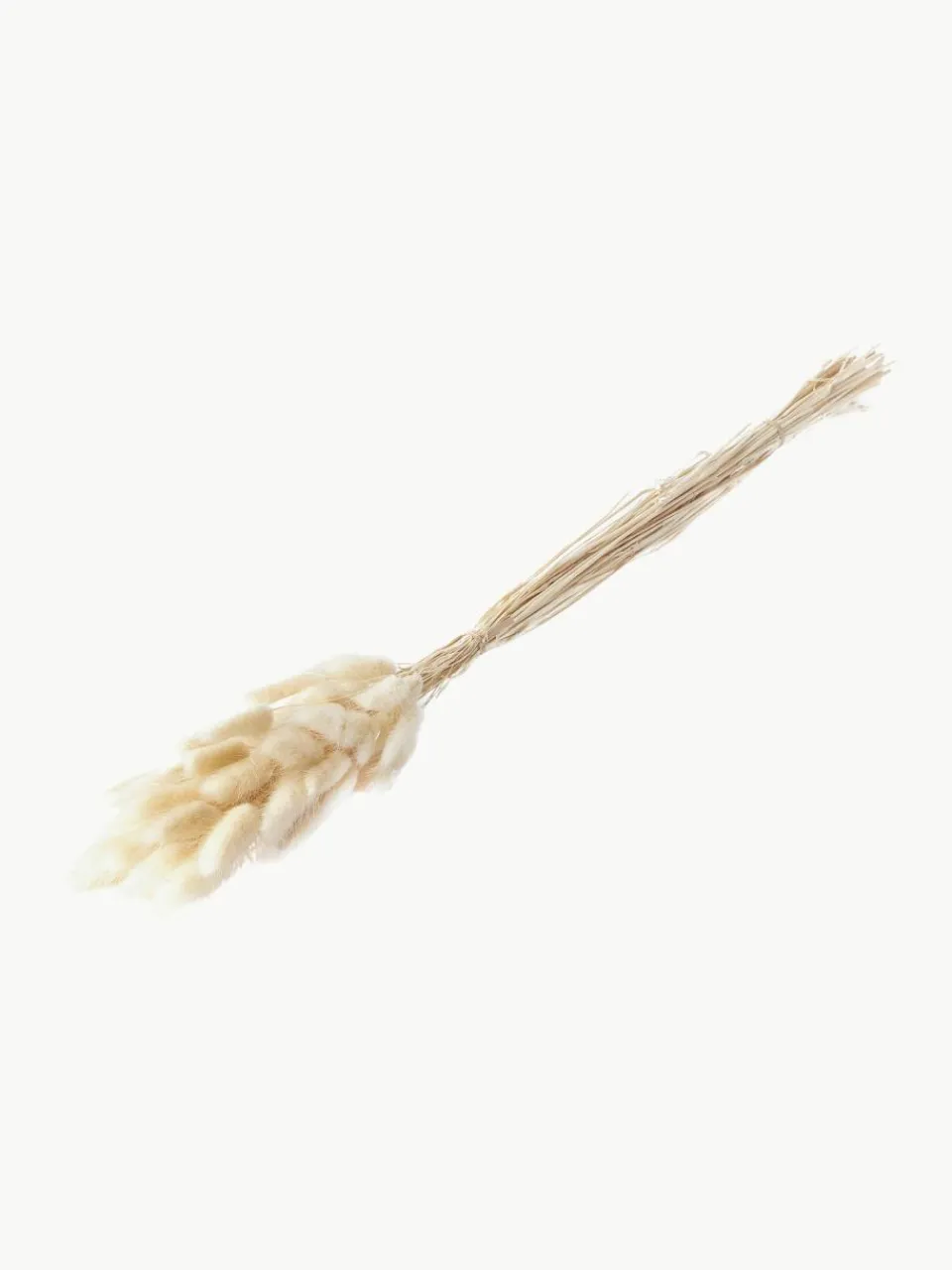 Droogbloemen Lagurus^Cooee Design Outlet