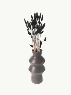 Droogbloemen Lagurus^Cooee Design Clearance