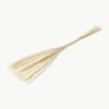 Droogbloemen Pampas^Cooee Design Clearance