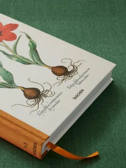 Fotoboek The Garden at Eichstätt^Westwing Sale