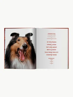Geïllustreerd boek Dogs Photographs 1941–1991^Westwing New
