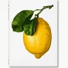 Geïllustreerd boek The Gourmand's Lemon. A Collection of Stories and Recipes^Westwing Clearance