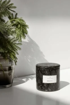 Geurkaars Frable^blomus Online