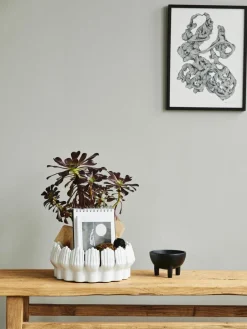 Grote decoratieve schalen Anise van keramiek^Nordal Clearance