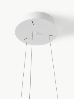 Grote LED hanglamp Maggiolone, dimbaar^Westwing Online