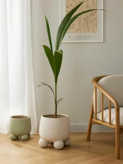 Grote plantenpot Olea, H 32 cm^Westwing Collection Sale