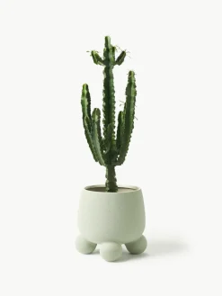 Grote plantenpot Olea, H 32 cm^Westwing Collection Outlet