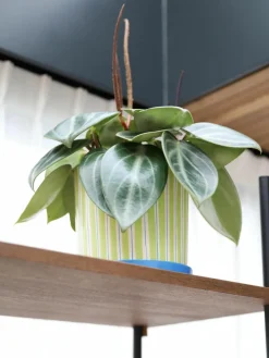 Handbeschilderde porseleinen plantenpot Ray^&k Amsterdam Fashion