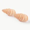 Handbeschilderde zout- & peperstrooier Shell van dolomiet, 2-delig^&k Amsterdam New