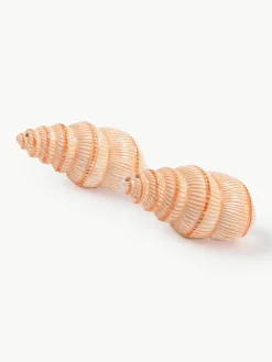 Handbeschilderde zout- & peperstrooier Shell van dolomiet, 2-delig^&k Amsterdam New