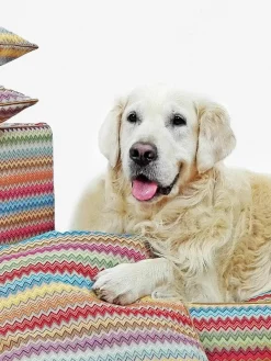Handgemaakt hondenbed Zik Zak No. 2^Dandy Dog Online