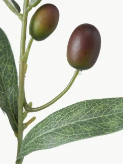 Handgemaakte decoratieve tak Olive Garden^Westwing Clearance