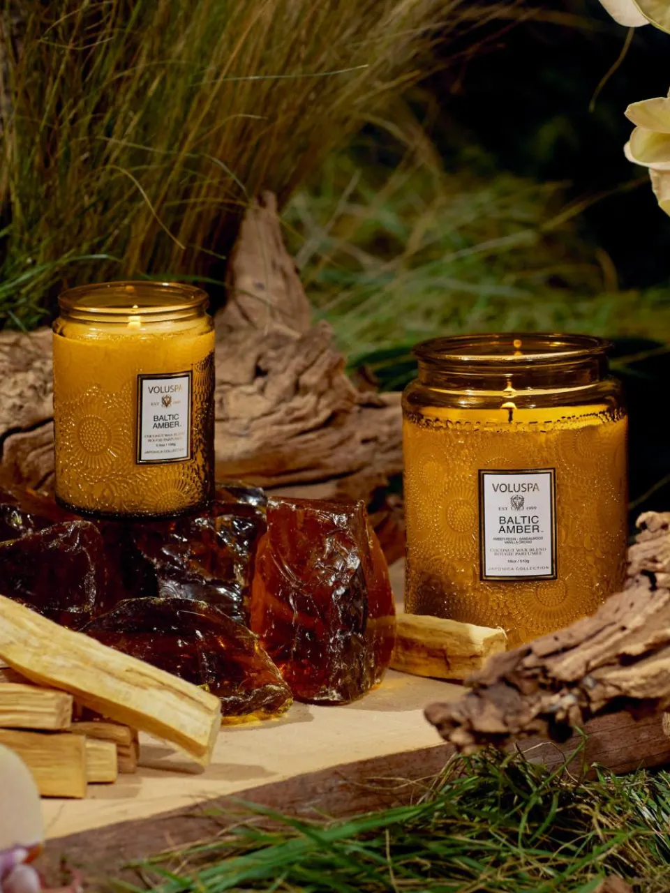 Handgemaakte geurkaars Japonica Collection (amberhars, sandelhout, cederhout & vanille orchidee)^Voluspa Online