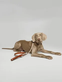 Handgemaakte hondenleiband honkbal^Buddys Dogwear Outlet
