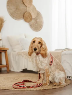 Handgemaakte hondenleiband Peruvian Arrow^Buddys Dogwear Outlet