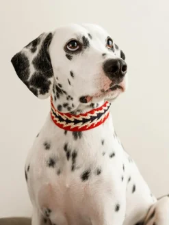 Handgemaakte huisdierhalsband Peruvian Arrow, in verschillende formaten^Buddys Dogwear Clearance