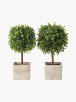 Handgemaakte kunstbomen Moni, set van 2^Westwing Best