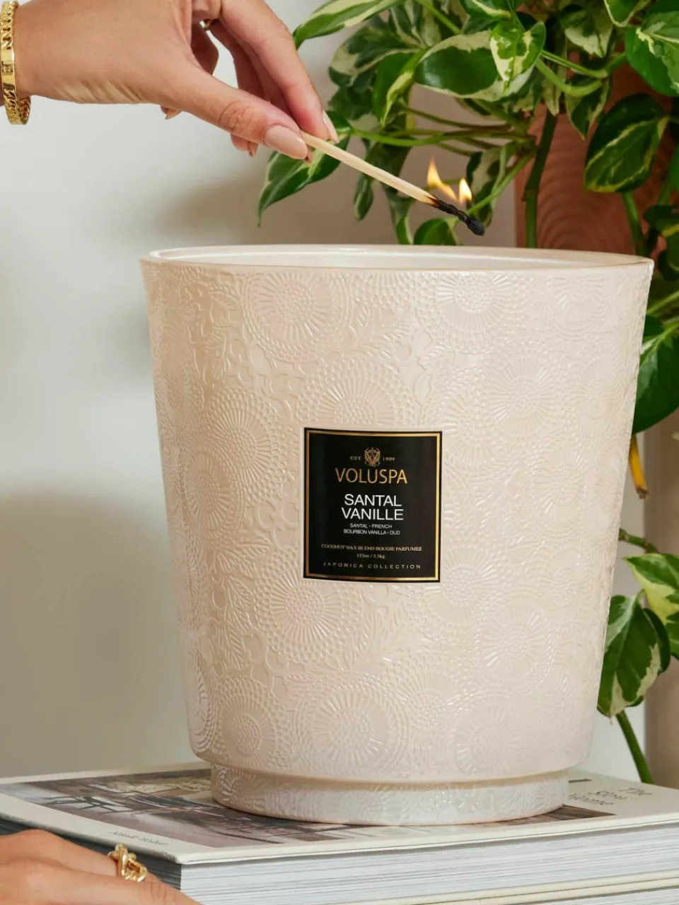 Handgemaakte 5-lonts geurkaars Japonica Collection (amberhars, sandelhout, cederhout & vanille orchidee)^Voluspa Fashion