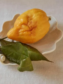 Handgemaakte serveerplateau Swan van porselein^Meissen Clearance