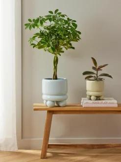 Kleine plantenpot Bryn, H 18 cm^Westwing Collection Outlet