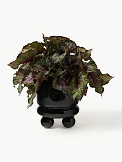 Kleine plantenpot Bryn, H 18 cm^Westwing Collection Outlet