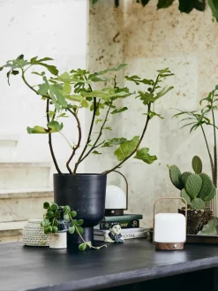 Kleine plantenpot Galoa,H 30 cm^Nordal Hot