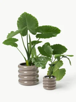 Kleine plantenpot Rudi van keramiek, H 16 cm^Westwing Collection New