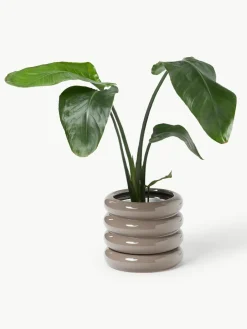 Kleine plantenpot Rudi van keramiek, H 16 cm^Westwing Collection New