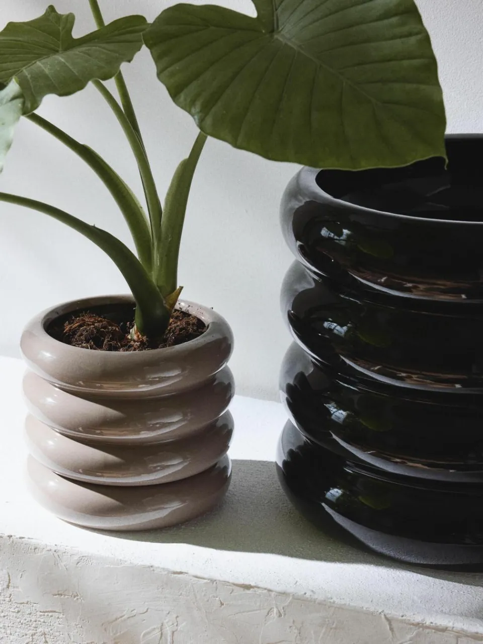 Kleine plantenpot Rudi van keramiek, H 16 cm^Westwing Collection New