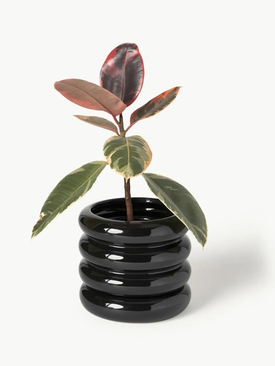 Kleine plantenpot Rudi van keramiek, H 16 cm^Westwing Collection Clearance
