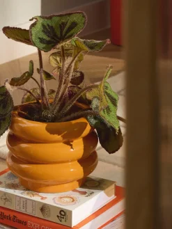 Kleine plantenpot Rudi van keramiek, H 16 cm^Westwing Collection Best