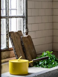 Kookpan Sun met antiaanbaklaag^knIndustrie Sale