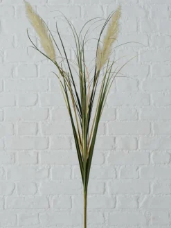 Kunstbloemen Pampasgras, 2-delig^Westwing Best