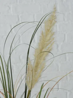 Kunstbloemen Pampasgras, 2-delig^Westwing Best