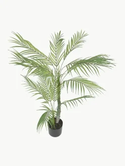 Kunstpalm Palme in plantenbak^Westwing Hot