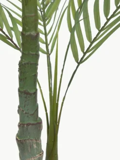 Kunstpalm Palme in plantenbak^Westwing Hot